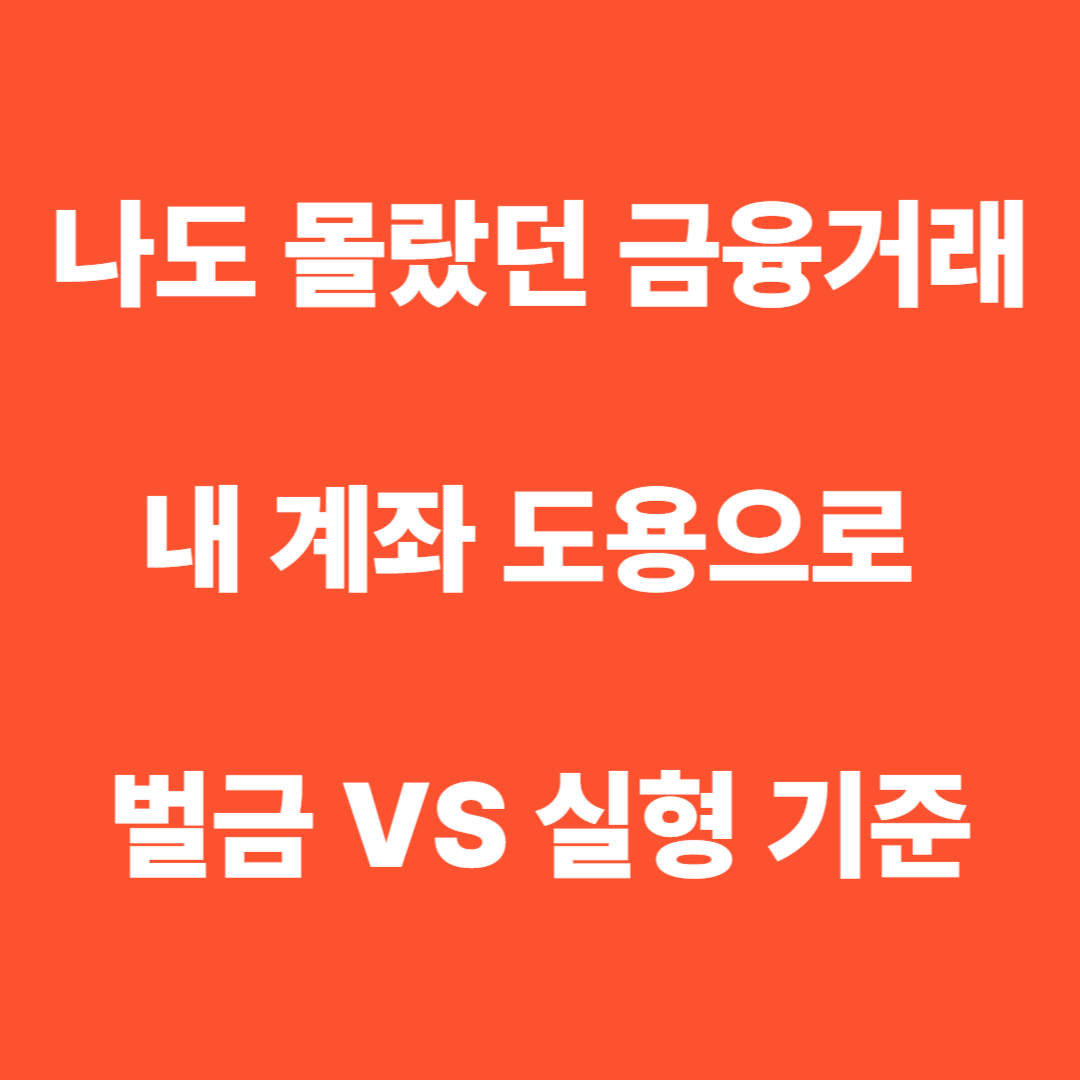 전자금융거래법 위반