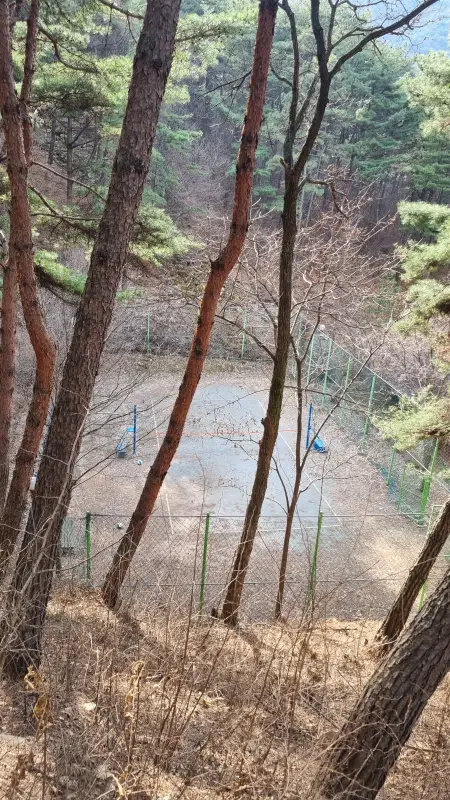 족구장