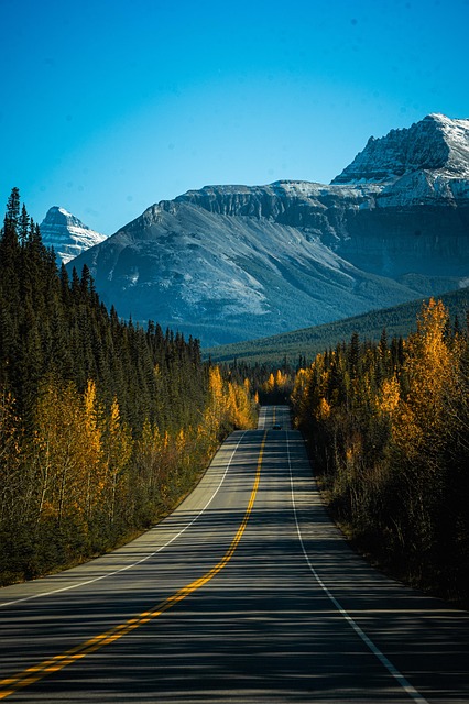 3월 날씨 전망 예보