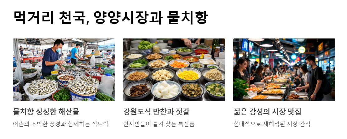 양양 여행지 BEST 10