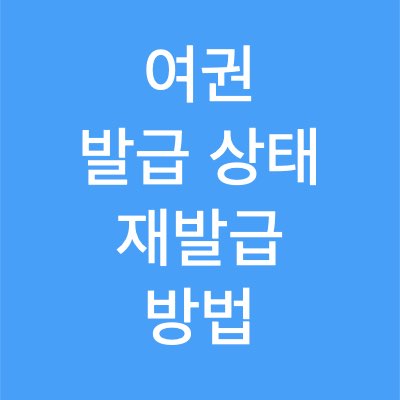 여권 발급 상태 조회 및 재발급 신청 방법 정리