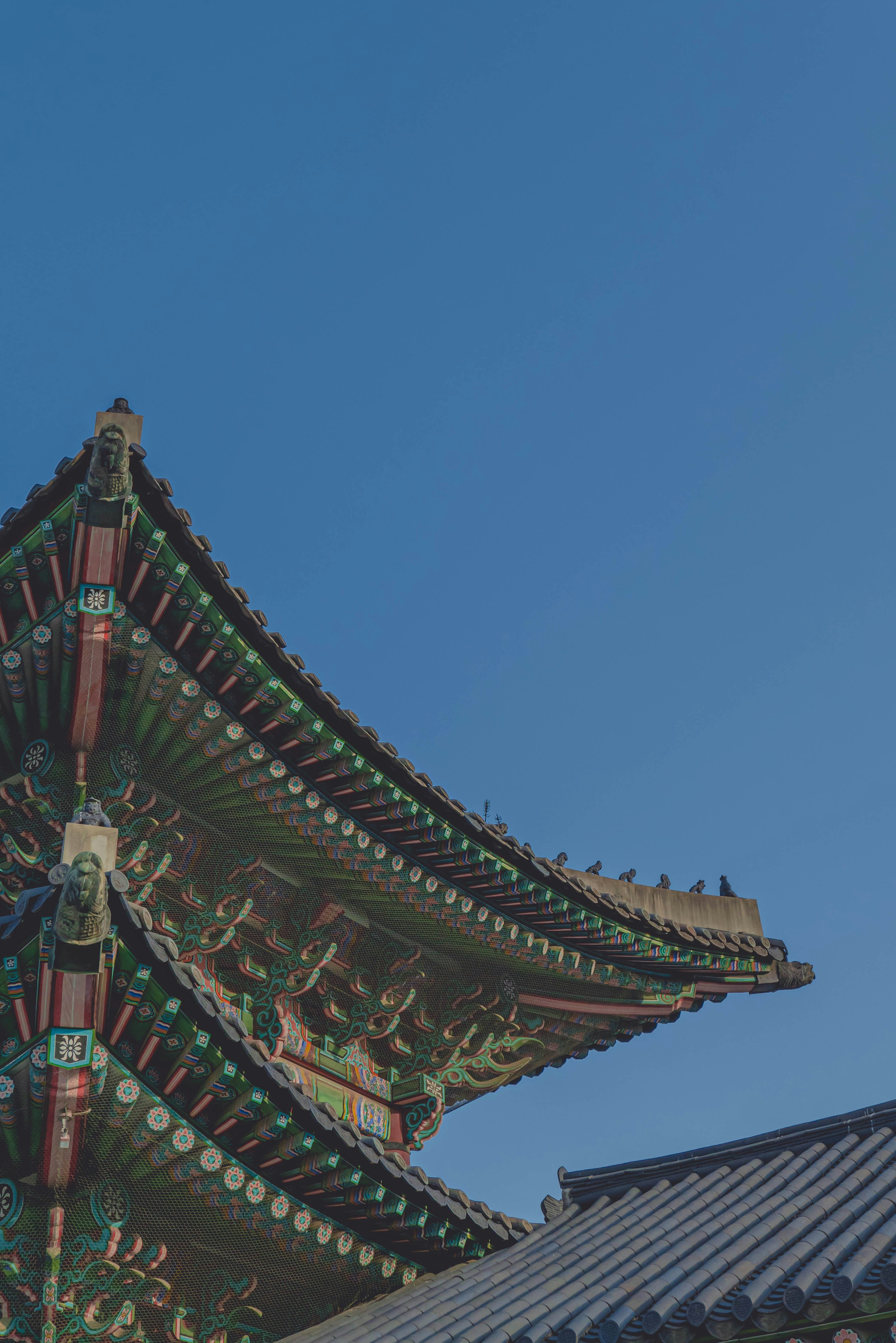 2024 창덕궁 달빛기행 사전예매하기