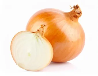 양파 보관법 양파 오래 보관법 3가지 방법_13