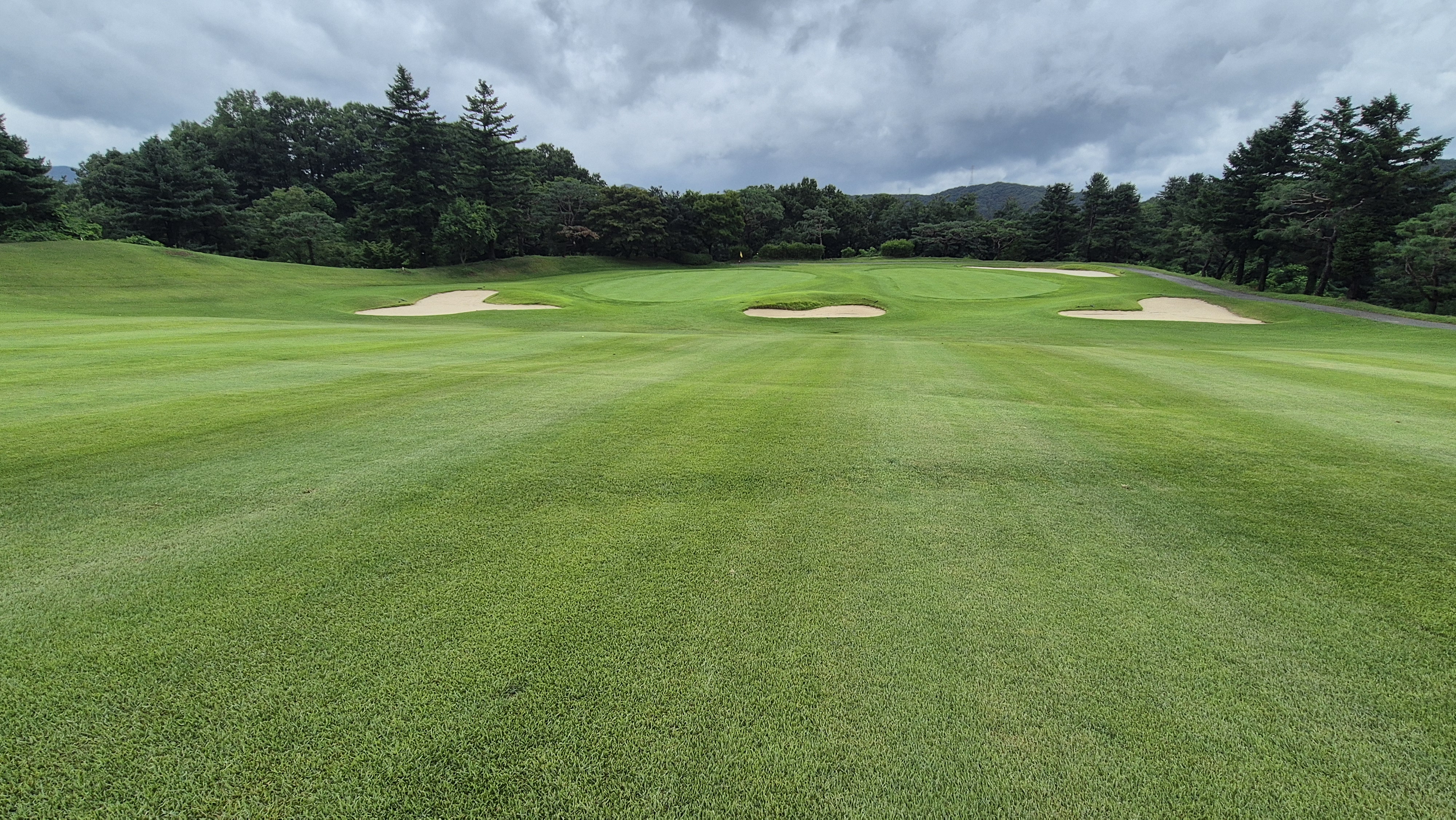 뉴서울cc 예술in-문화in 코스 사진 및 공략 정보