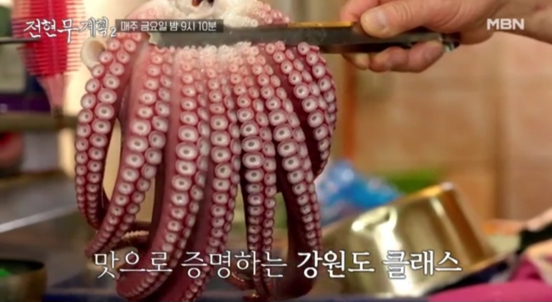 전현무계획2 문어 숙회 생골뱅이 삼척