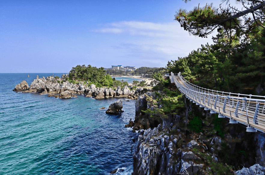 추암해변-출렁다리