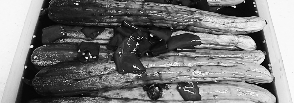 장마철 이전 최적