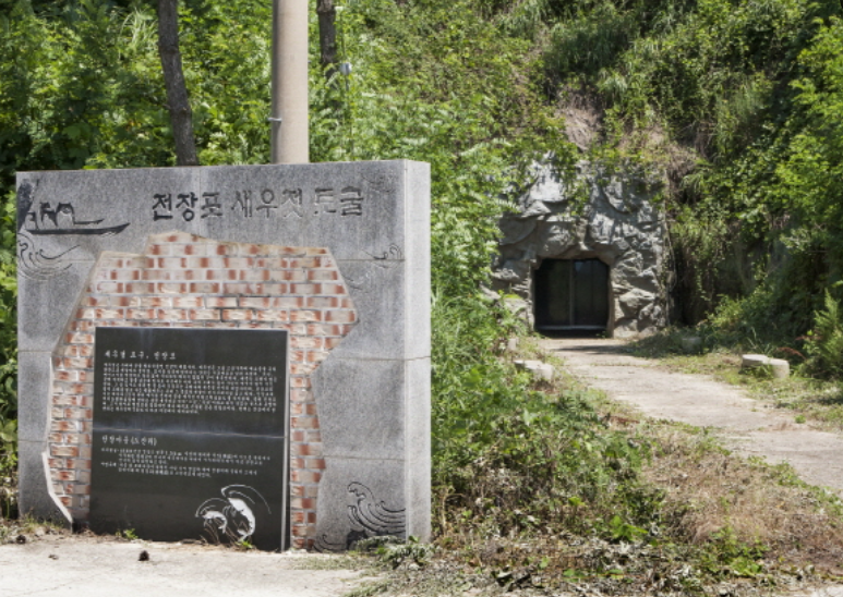 전장포항