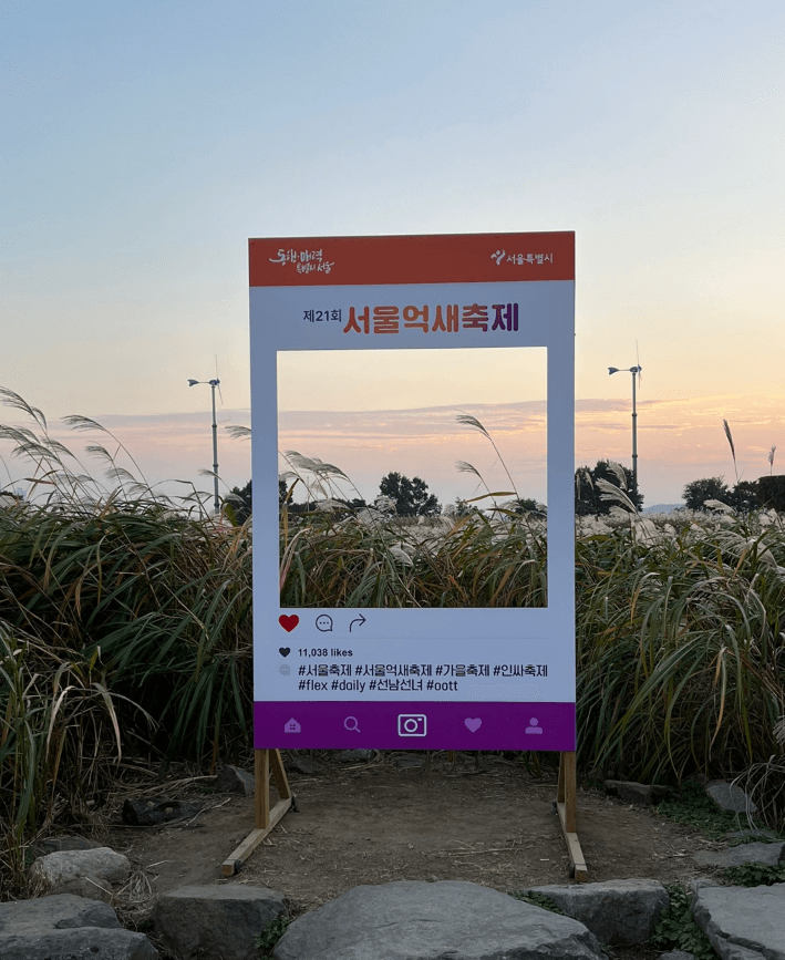 서울-하늘공원-억새축제-가는길.주차.일정안내-사진명소-사진맛집-총정리