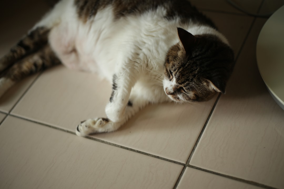 Indigestion.