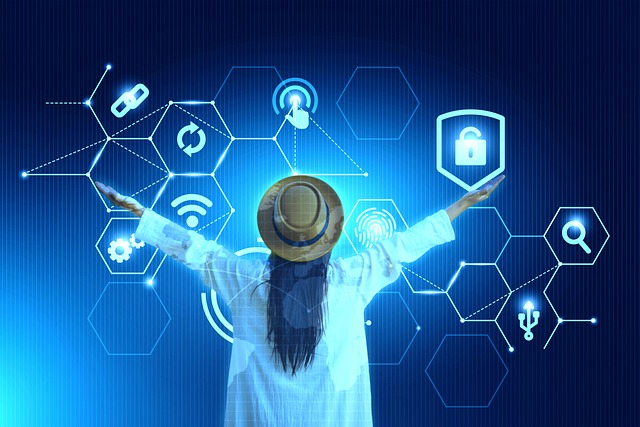 소수민족의 디지털 권리와 정보격차