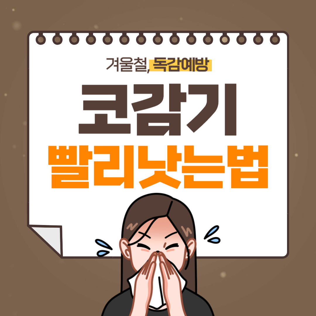 코감기 빨리 낫는 법