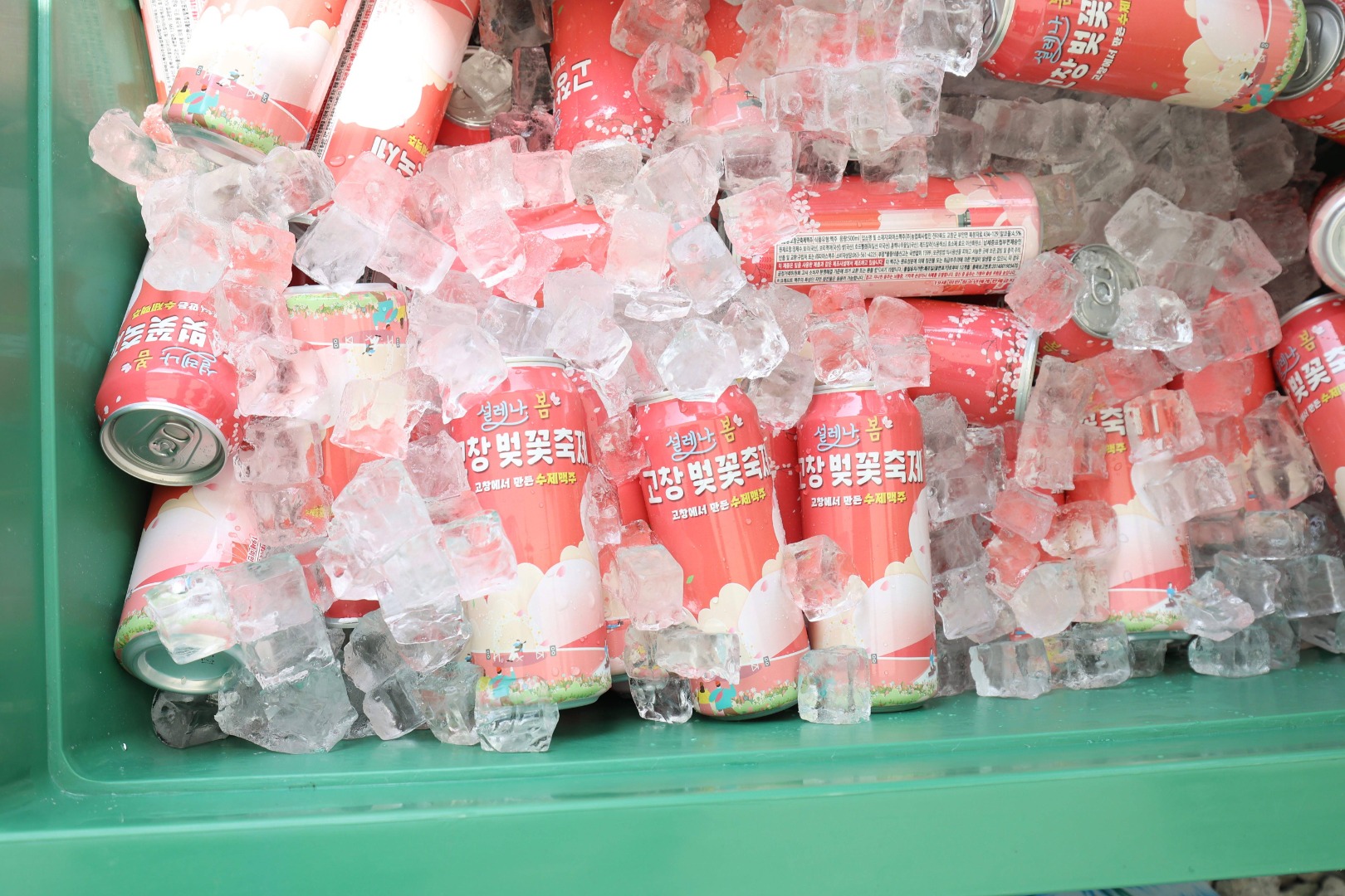 2025 고창 벚꽃축제｜벚꽃 드라이브 코스 축제 일정&middot;개화시기&middot;근처 맛집까지 한번에 보기