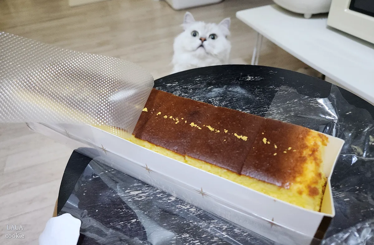 대구-중구-베이커리-카페-대봉정-카스테라-금가루