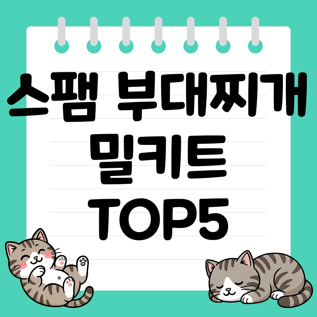 푸짐하게 먹기 좋은 스팸 부대찌개 밀키트 추천 순위 TOP5