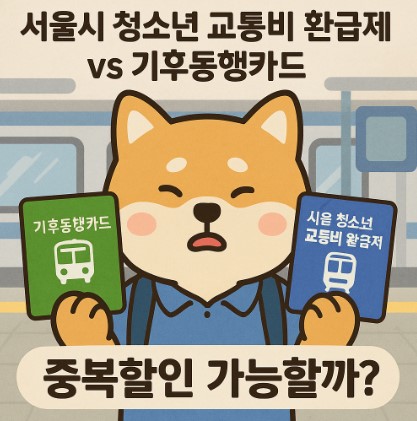 기후동행카드 vs 청소년 교통비 환급제, 둘 다 받을 수 있을까?