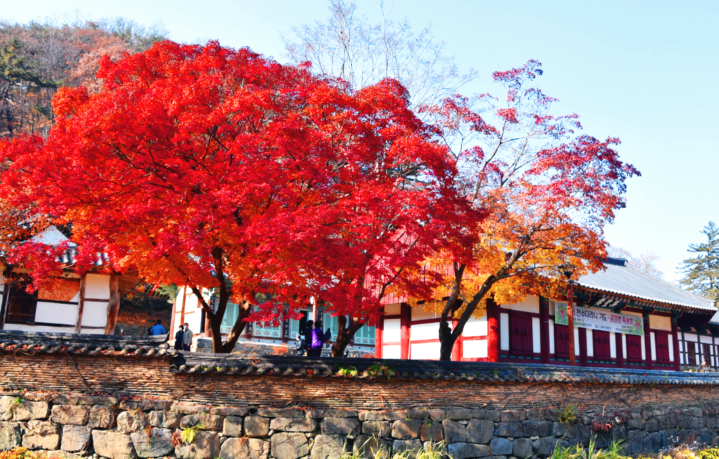 공주 마곡사