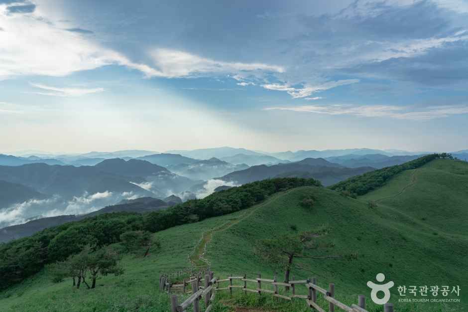 정선 가볼만한곳 베스트10