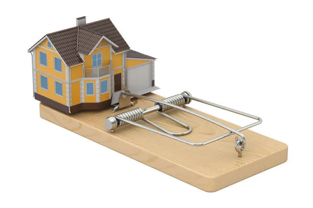 전세 사기 피해 방지