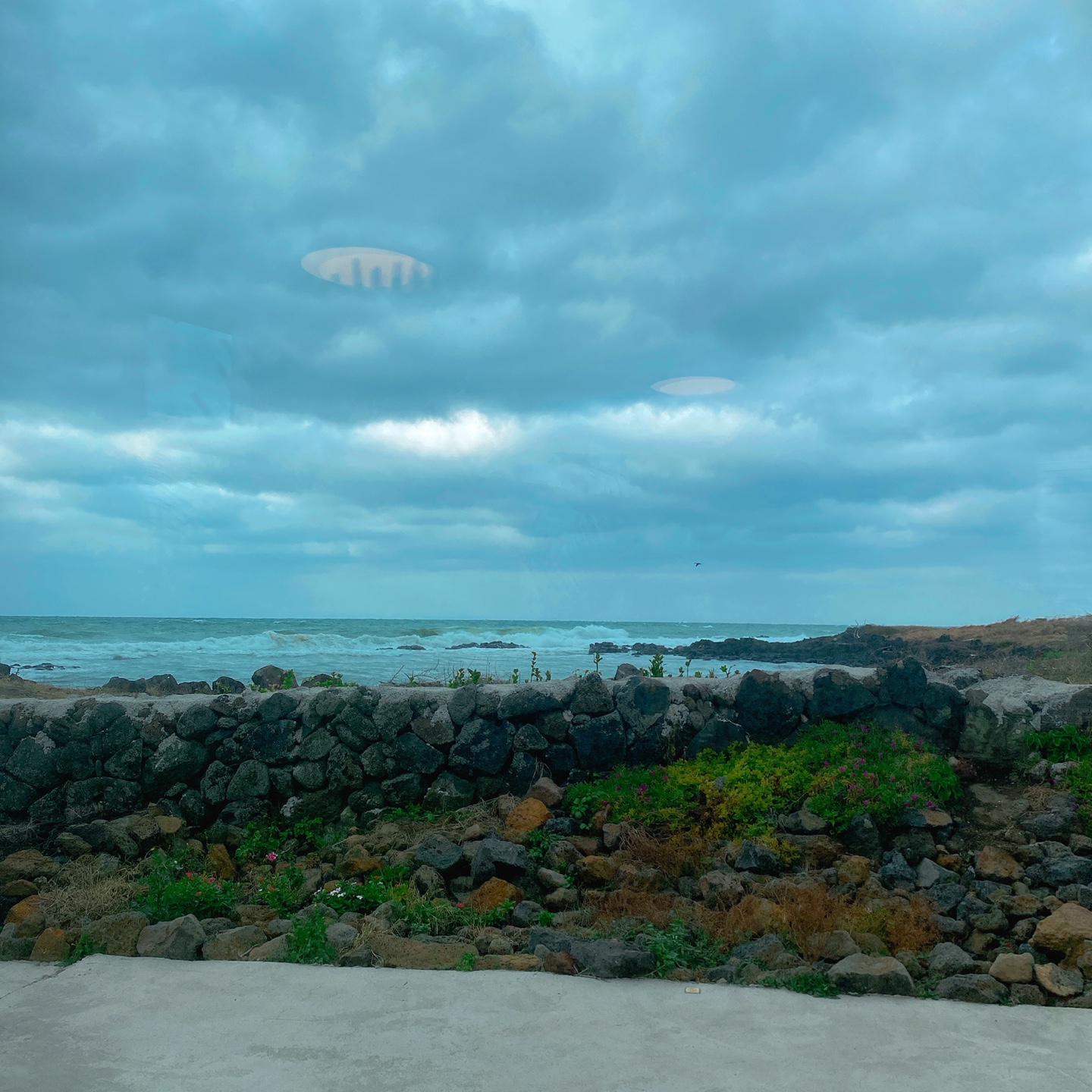 제주 조천방파제 오션뷰 로스터리 베이커리 카페 시소