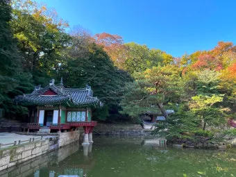 창덕궁 봄 꽃 개화 시기 근처 맛집 10선_27