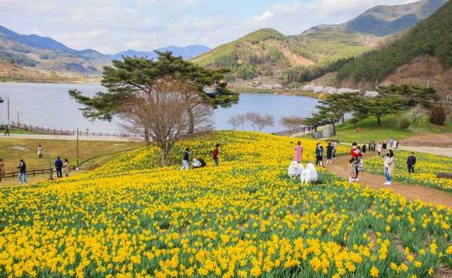 3월 국내 여행지 추천