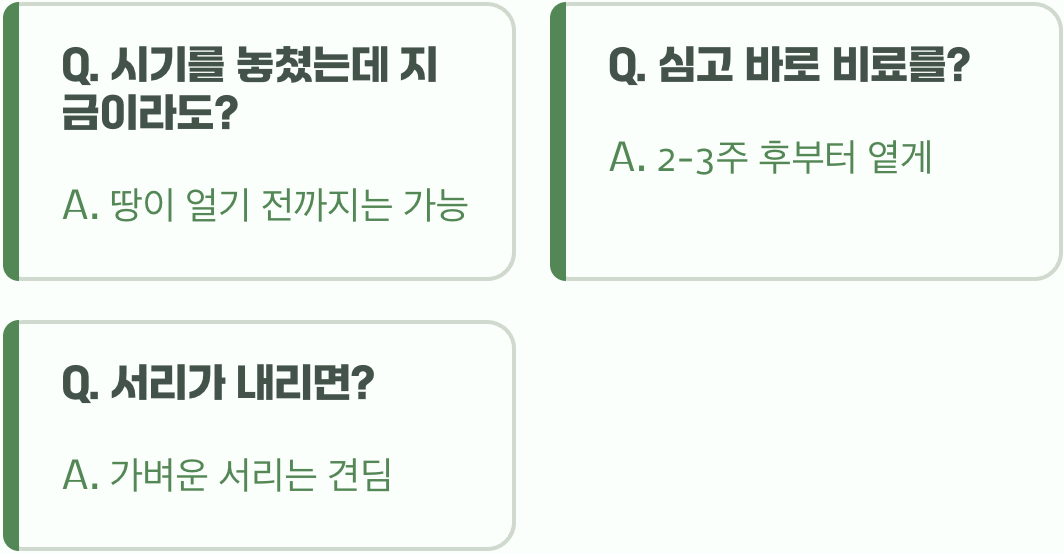 가을꽃모종 심는 시기&amp;#44; 지금이 최적기일까? (지역별 가이드)