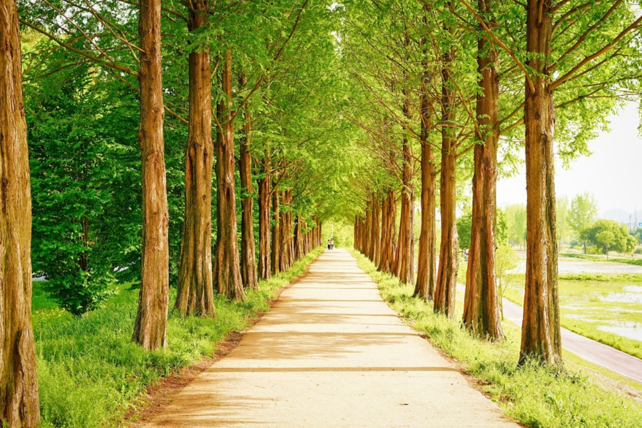 공주 가볼만한곳 베스트10