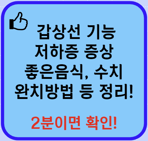 갑상선 기능저하증 증상 좋은 음식 수치 등 알아보기 (24년 Ver)