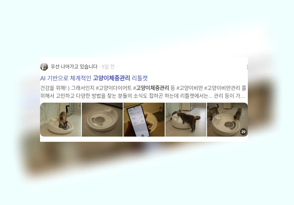 고양이 체중 관리_1_subsection