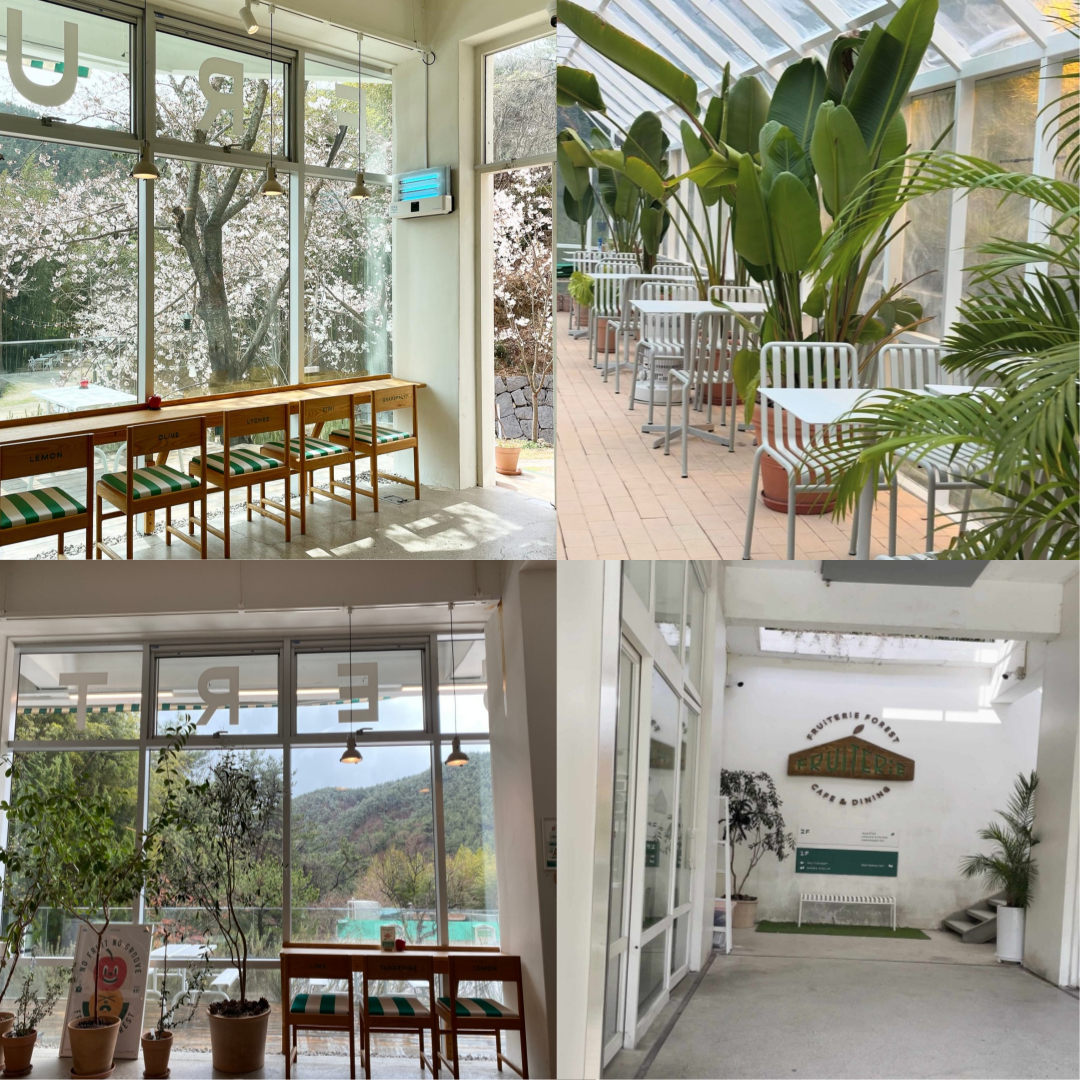 프루터리포레스트 해운대 달맞이점 내부사진