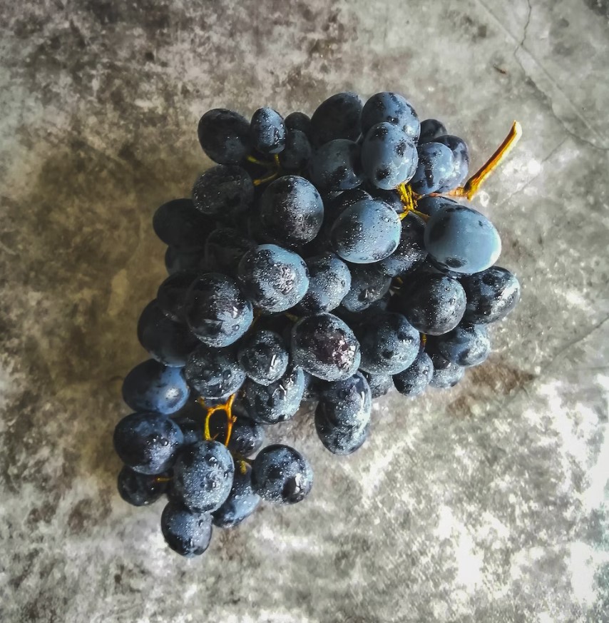 양파와 궁합이 안좋은 과일