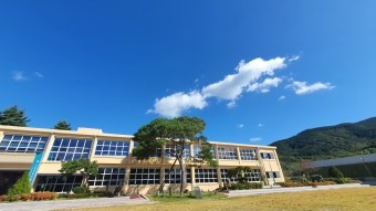 지수초등학교 부자소나무(재벌 배출, 명당, 기업가정신)-부자소나무사진