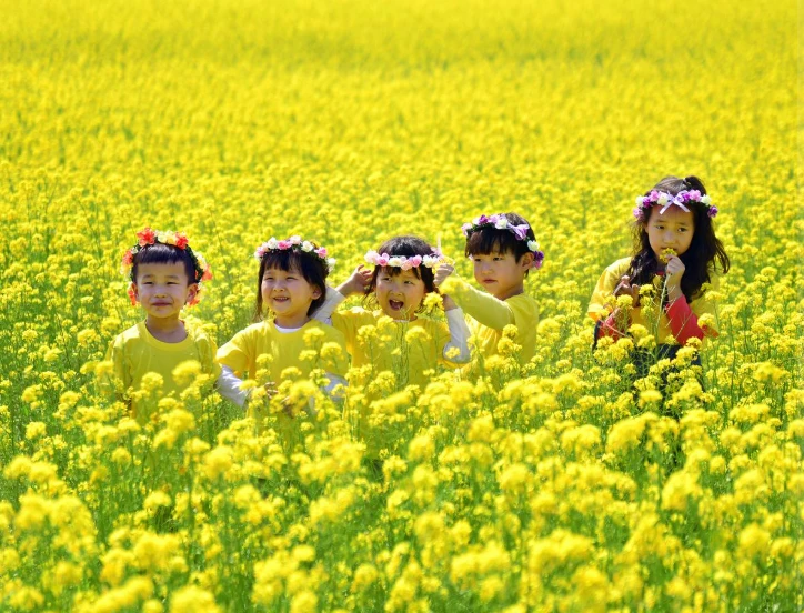 삼척 맹방 유채꽃 축제 프로그램&amp;#44; 주차장 및 교통 총정리(+주변 관광 명소)