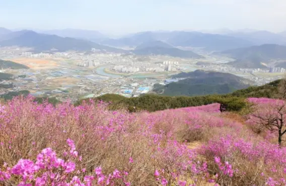 밀양 종남산 사진