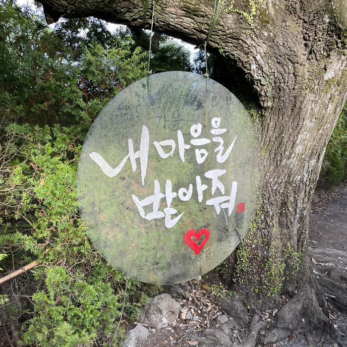 바람미로