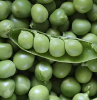 완두콩 효능 부작용 영양성분 먹는법 고르는법