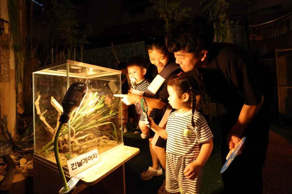 2026년 9월 축제 일정
