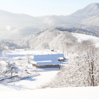 강원도 겨울 트레킹 추천 BEST 5 : 설경 걷기 좋은 길