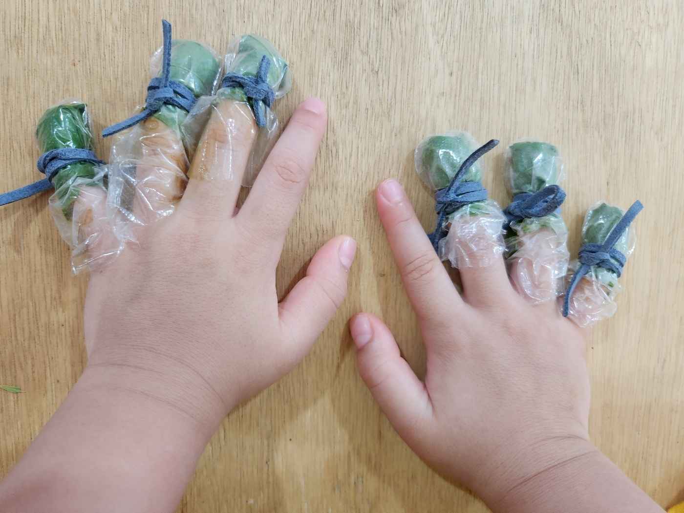 율봄식물원 봉선화