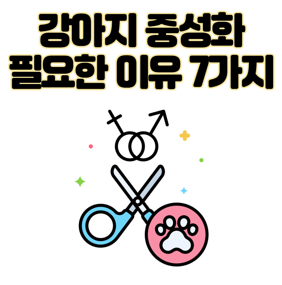 강아지 중성화 수술 시기와 필요한 이유 7가지