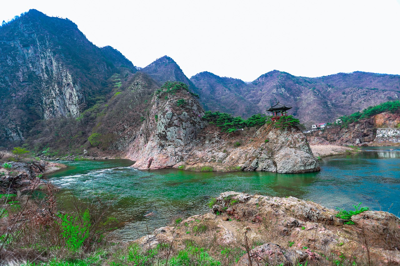 충청북도지역의 봄 관련 사진