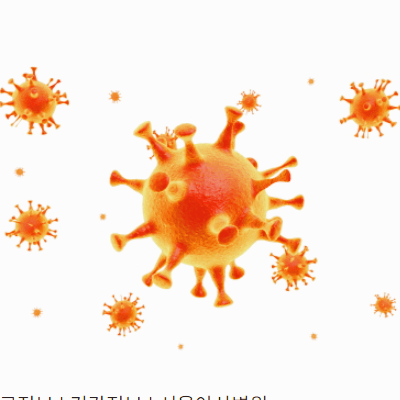 코로나 관련주 대장주 진단키트 테마주 TOP5