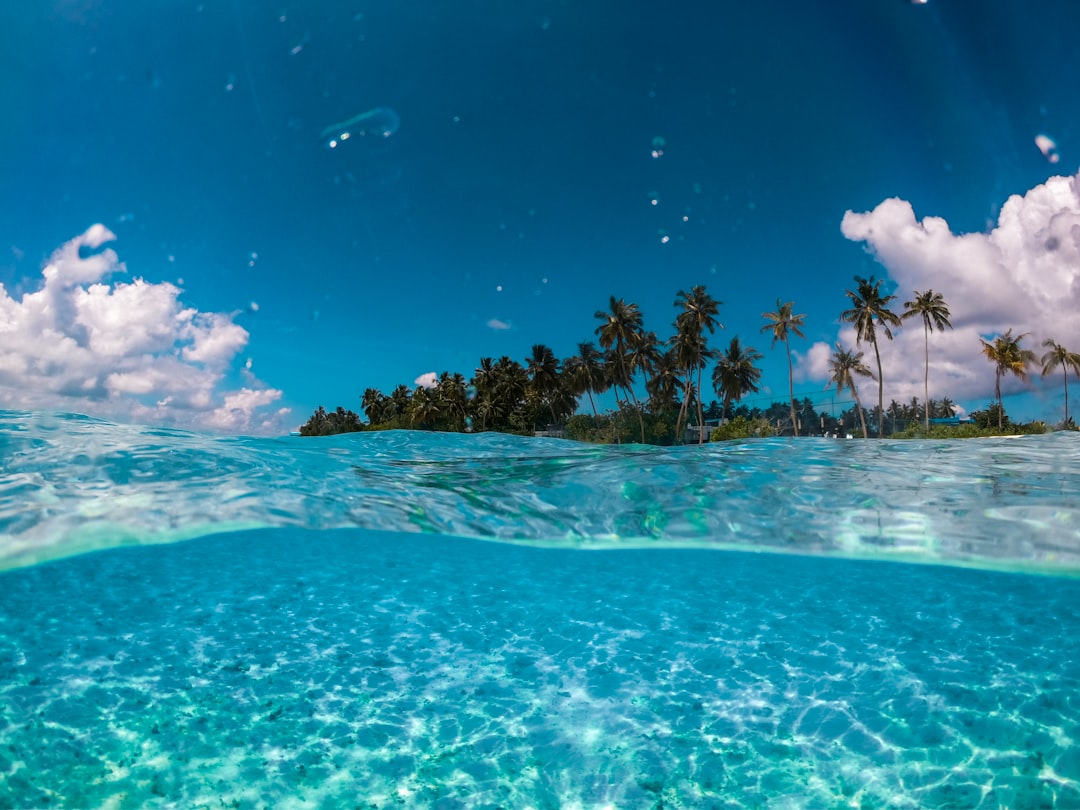 Island