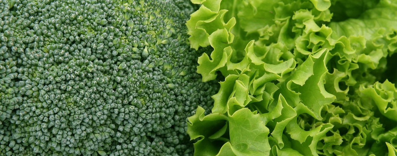 녹황색 채소 이미지 입니다.