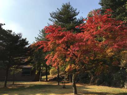 경기도 가을축제