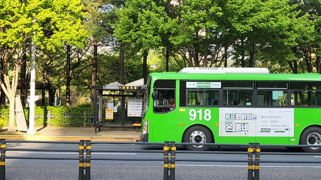 기후동행카드