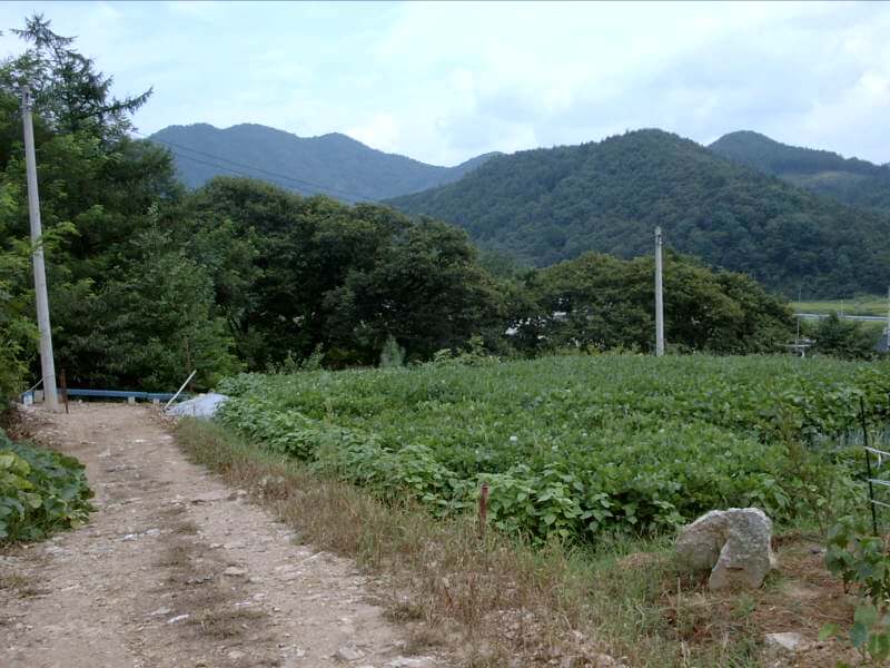 개별공시지가 조회
