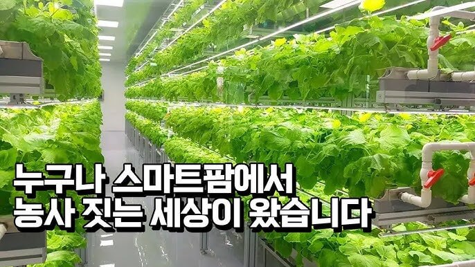 스마트팜