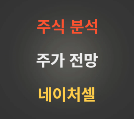 네이처셀 주가 전망 분석 (11월4주)
